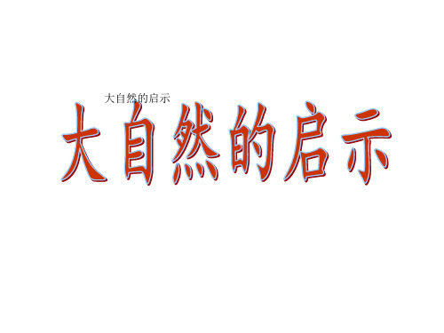 四年级下册语文课件12大自然的启示｜人教新课标 (共15张PPT)