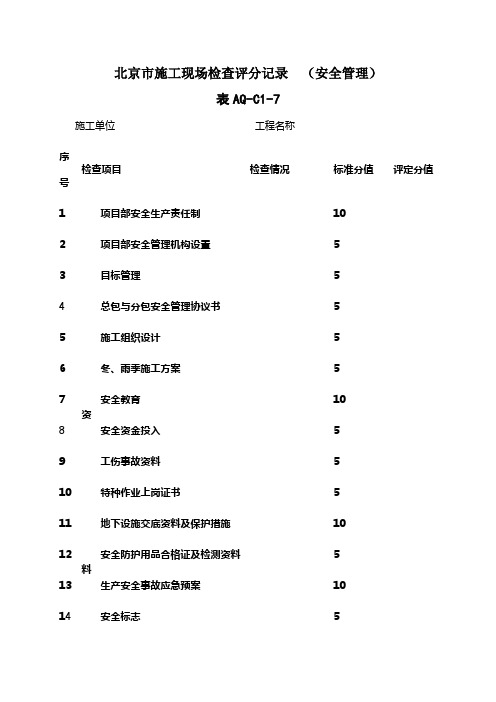 北京市安全检查十张表