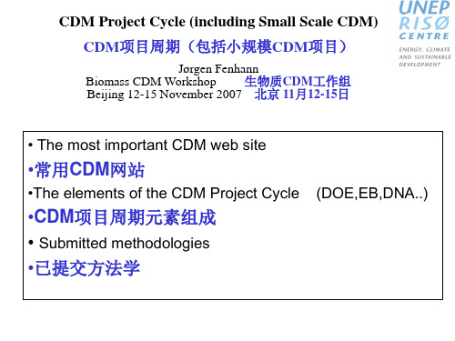 CDM项目周期,小型CDM项目-Folie1