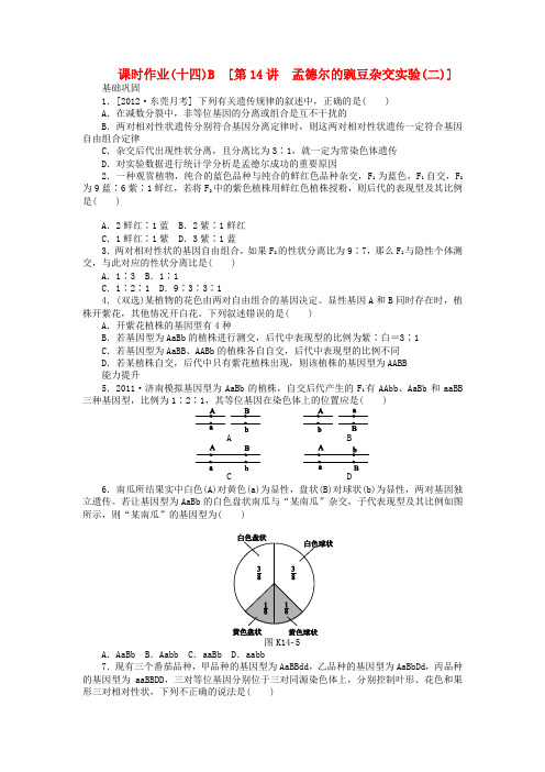 高三生物一轮复习课时作业14 孟德尔的豌豆杂交实验2B(广东专版)