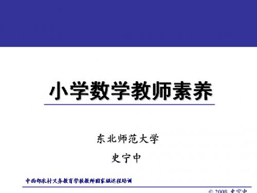 史宁中--数学课程标准与中小学数学教师素养综述