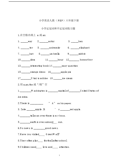 小学英语人教(PEP)六年级下册小学定冠词和不定冠词练习题.docx