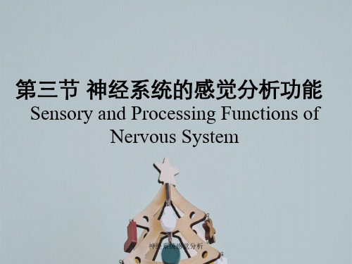 神经系统感觉分析