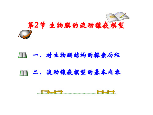 标题-高中生物必修1PPT：第四章 第2节 生物膜的流动镶嵌模型 同课异构(4)