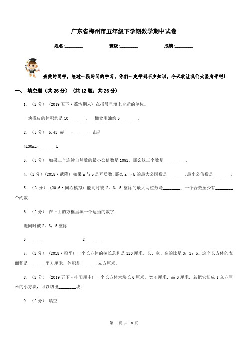 广东省梅州市五年级下学期数学期中试卷