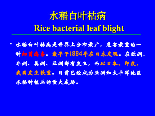 水稻病害-白叶枯、细条病(修改完)[精]