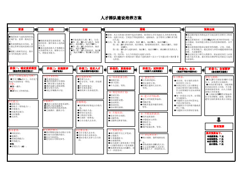 人资规划专题-1、人才梯队建设培养方案流程图