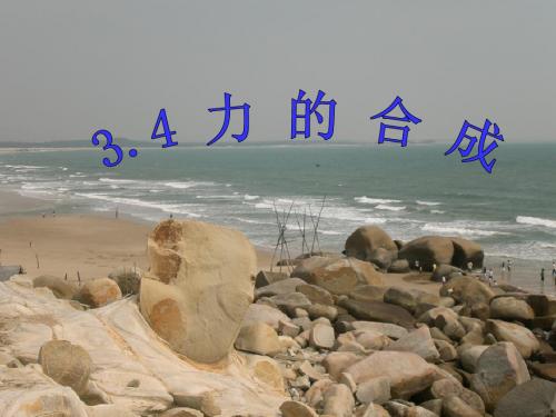 物理:市骨干教师竞赛作品《力的合成》课件