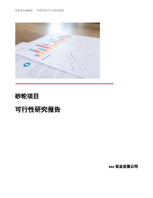 砂轮项目可行性研究报告