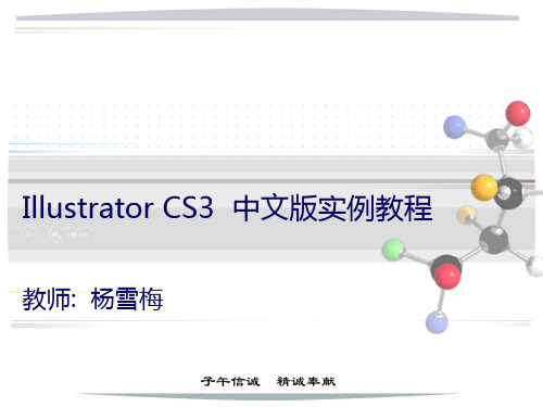 Illustrator CS3  中文版实例教程课件第3章对象的绘制