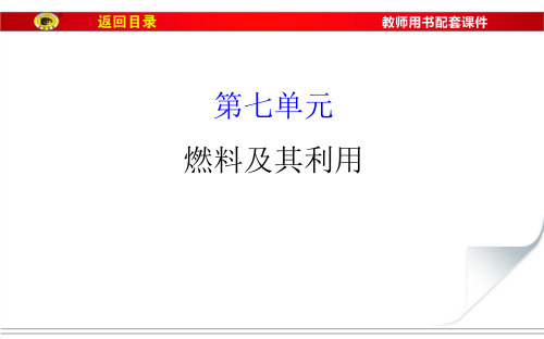 九年级化学总复习第七单元