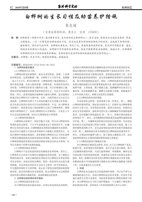 白桦树的生长习性及幼苗养护措施