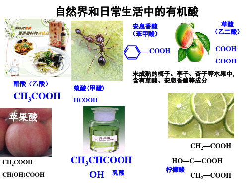 羧酸的性质和应用ppt课件