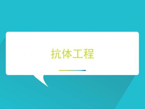 抗体工程ppt课件