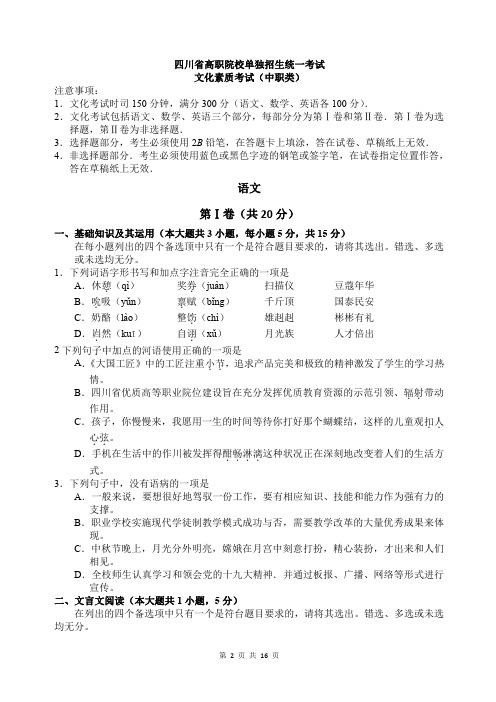 四川省高职院校单独招生考试题练习(文化素质考试语数外合集)