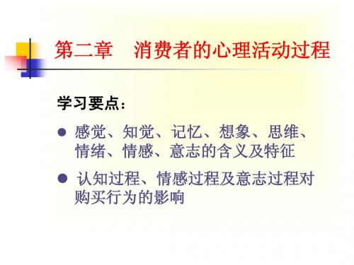 第二章 消费者的心理活动过程