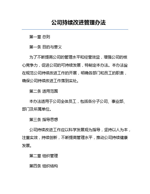 公司持续改进管理办法