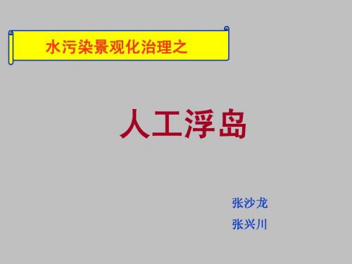 水污染景观化治理之人工浮岛