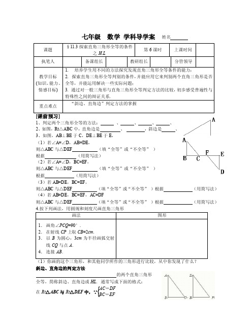 11.3全等三角形H.L