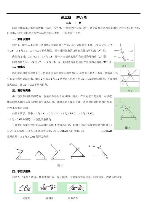 鲁教版6年级下册数学识三线   辨八角