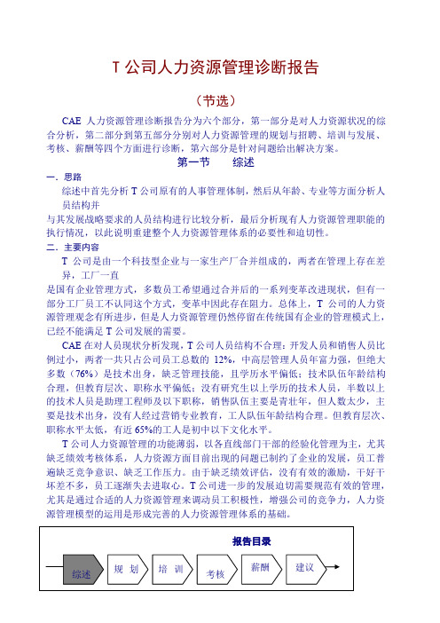 集团公司人力资源诊断报告大全