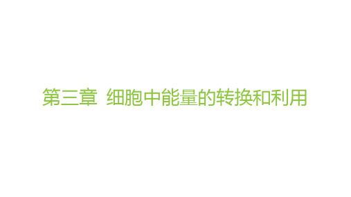 苏教版高中生物学必修1精品课件 第三章 第一节 生命活动需要酶和能源物质-第1课时 酶与酶促反应