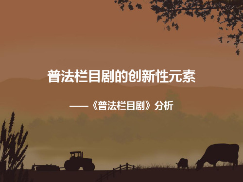 普法栏目剧的创新性元素