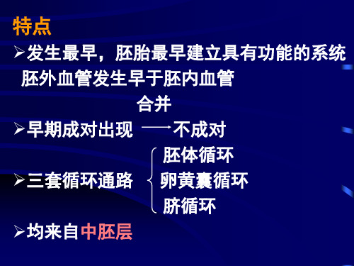 心血管系统-组织胚胎学教学课件