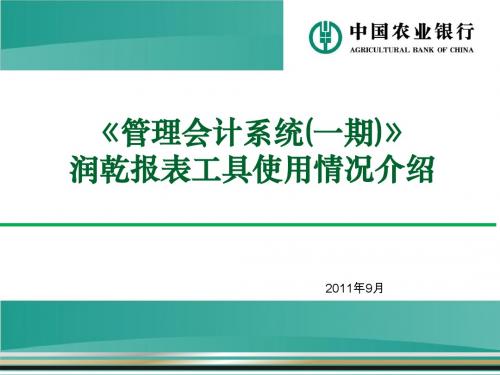 润乾报表工具使用情况介绍.ppt