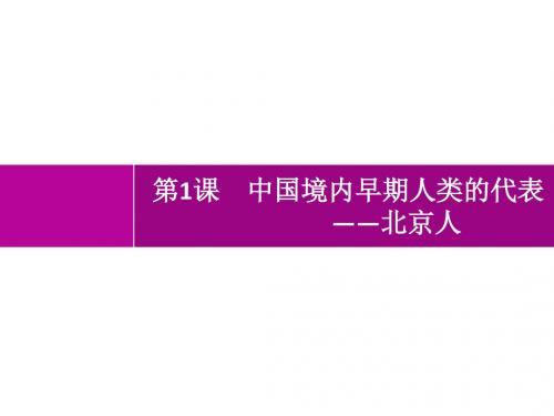 2019-2020新人教版历史七年级上册同步课件：第1课 中国境内早期人类的代表——北京人