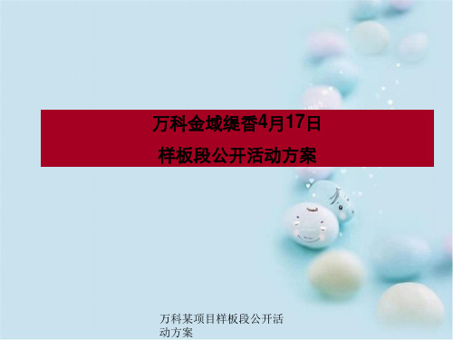 万科某项目样板段公开活动方案