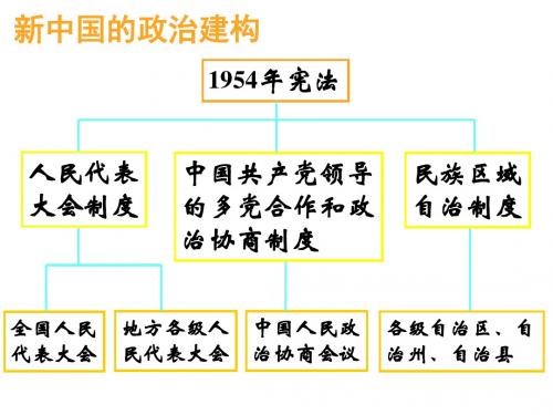 第21课 民主政治建设的曲折发展