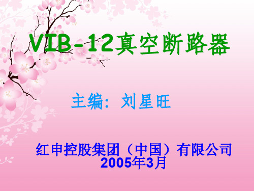 真空断路器VIBVIB