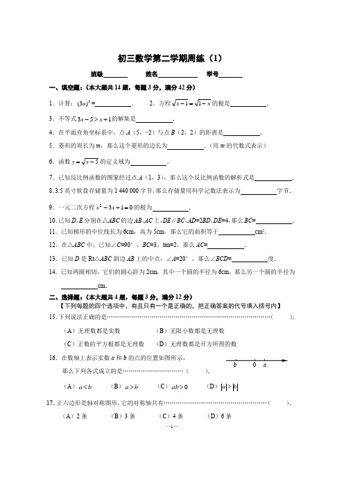 2019-2020学年沪科版九年级第二学期数学周练(1)