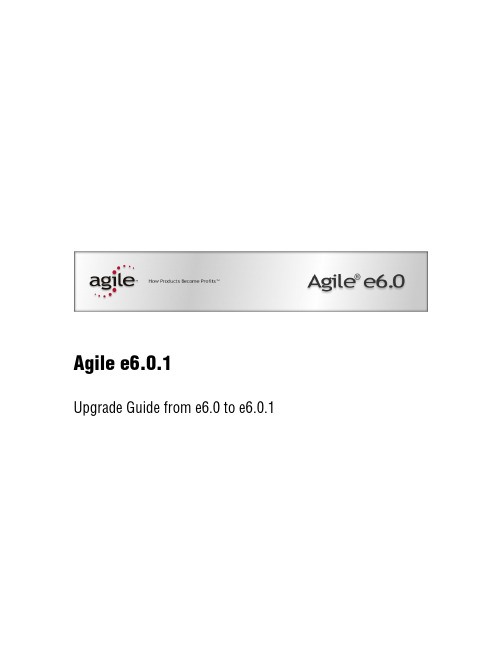 Agile e6.0.1升级指南从e6.0到e6.0.1说明书