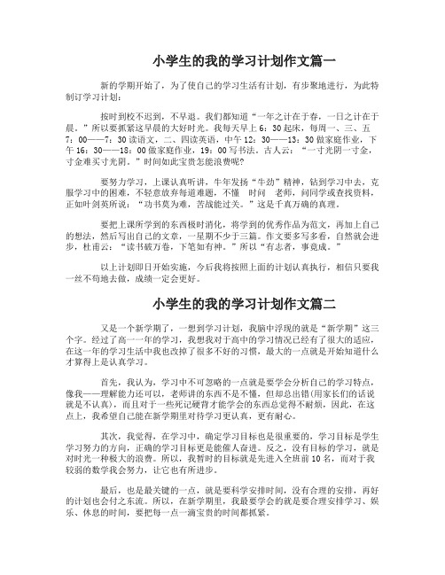 小学生的我的学习计划作文