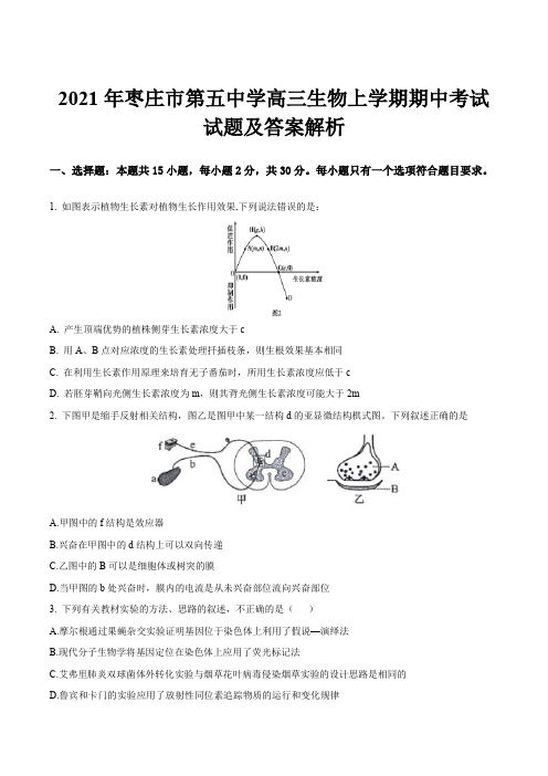 2021年枣庄市第五中学高三生物上学期期中考试试题及答案解析