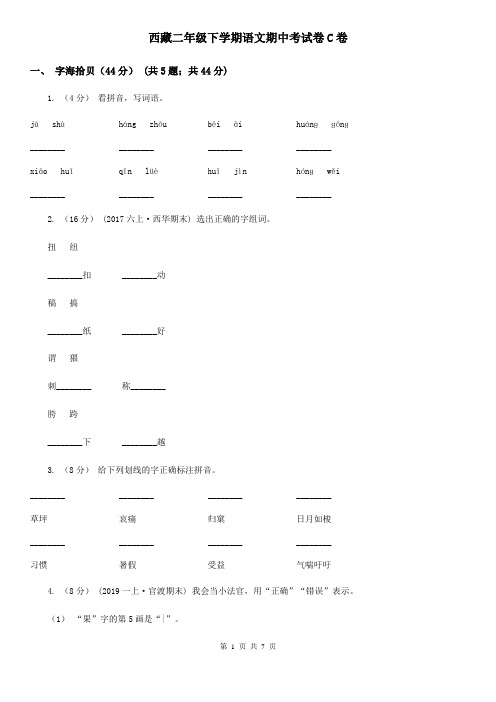 西藏二年级下学期语文期中考试卷C卷