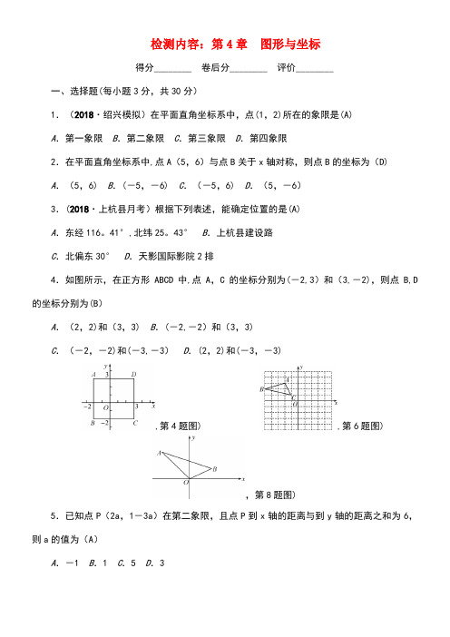 2018秋八年级数学上册 单元清五 (新版)浙教版