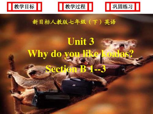 人教新目标版初中英语七年级下册 Why do you like koalas2 PPT课件