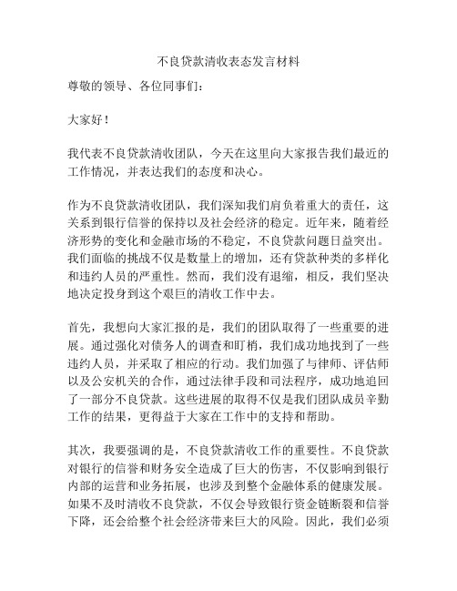 不良贷款清收表态发言材料