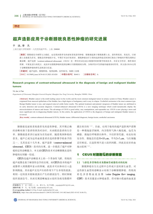超声造影应用于诊断膀胱良恶性肿瘤的研究进展