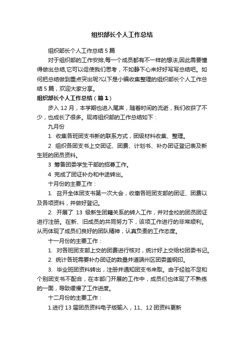 组织部长个人工作总结5篇