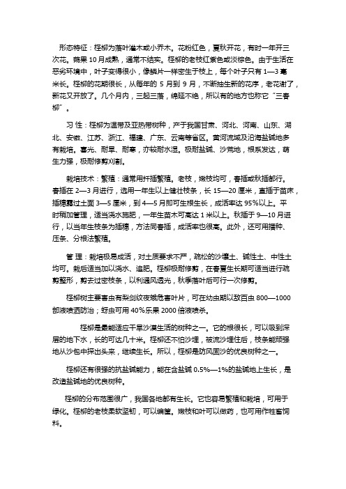 柽柳