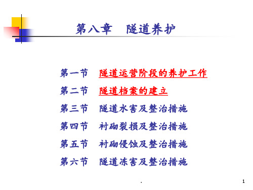 8.1隧道的养护与档案的建立PPT课件