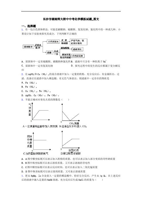 长沙市湖南师大附中中考化学模拟试题_图文