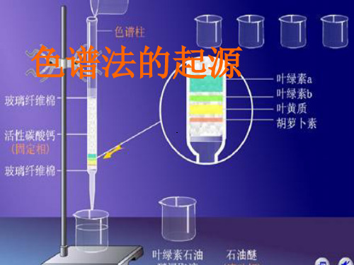 实验十四混合维生素E的正相HPLC分析条件的选择