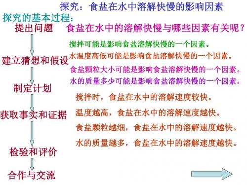 七年级科学食盐在水中溶解快慢的影响因素