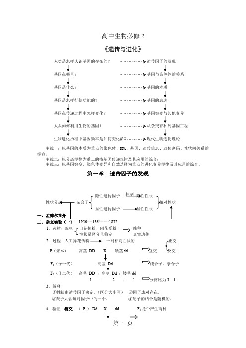 高中生物必修2最详细笔记共10页