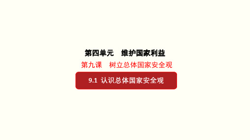 9.1 认识总体国家安全观-八年级道德与法治上册(部编版)